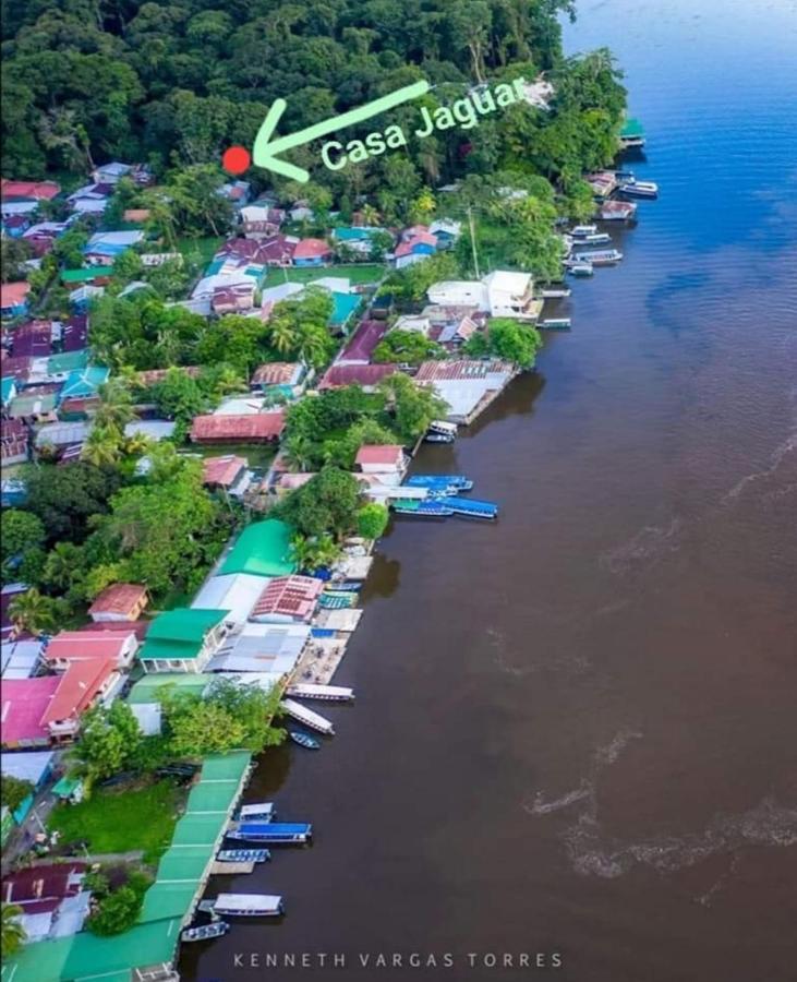 Casa Jaguar Vila Tortuguero Exterior foto